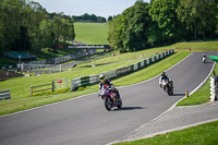 cadwell-no-limits-trackday;cadwell-park;cadwell-park-photographs;cadwell-trackday-photographs;enduro-digital-images;event-digital-images;eventdigitalimages;no-limits-trackdays;peter-wileman-photography;racing-digital-images;trackday-digital-images;trackday-photos